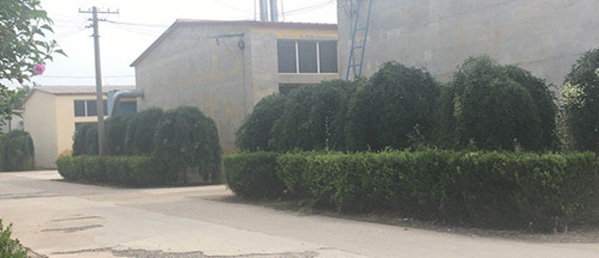 專業(yè)的技術(shù)團(tuán)隊(duì)，為客戶私人定制